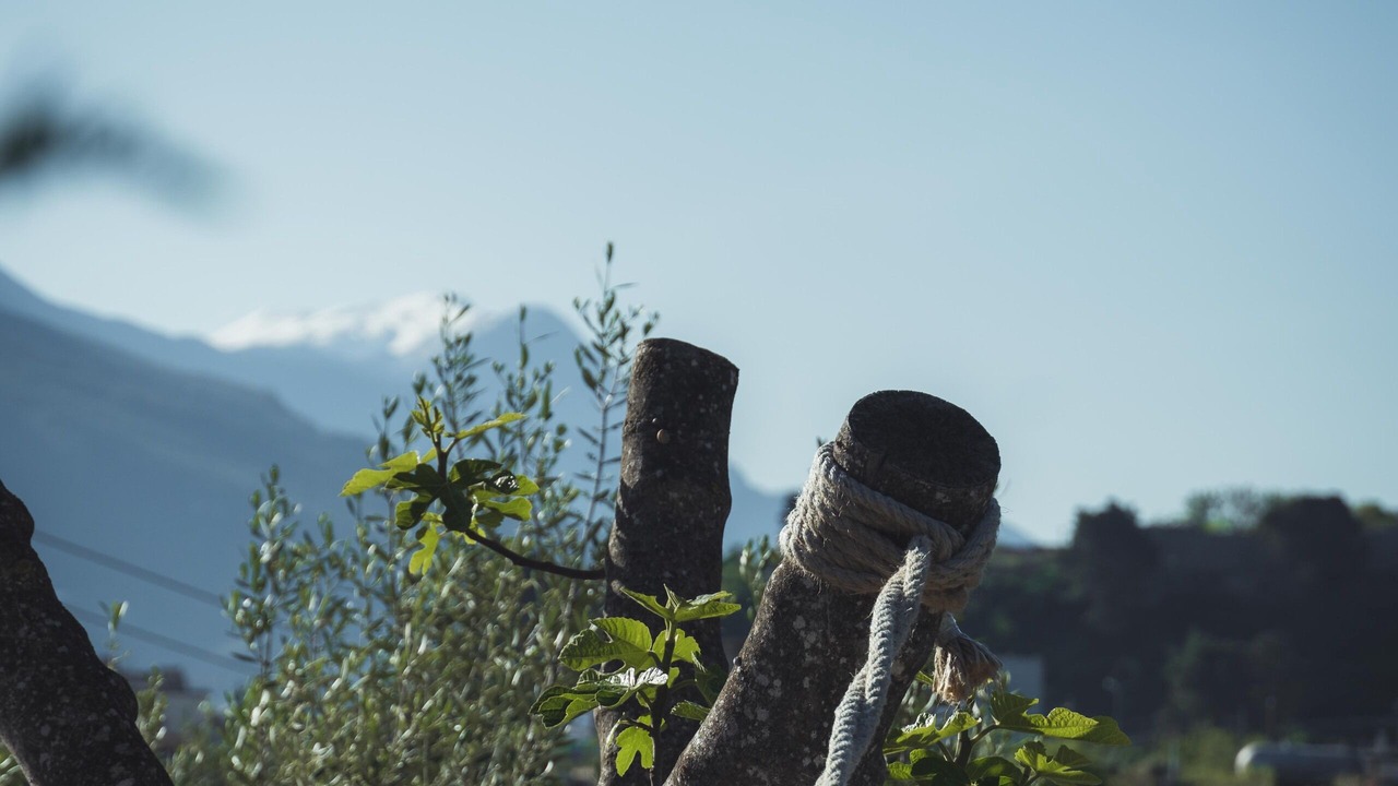 Photo of Outdoor in Fushebardhe