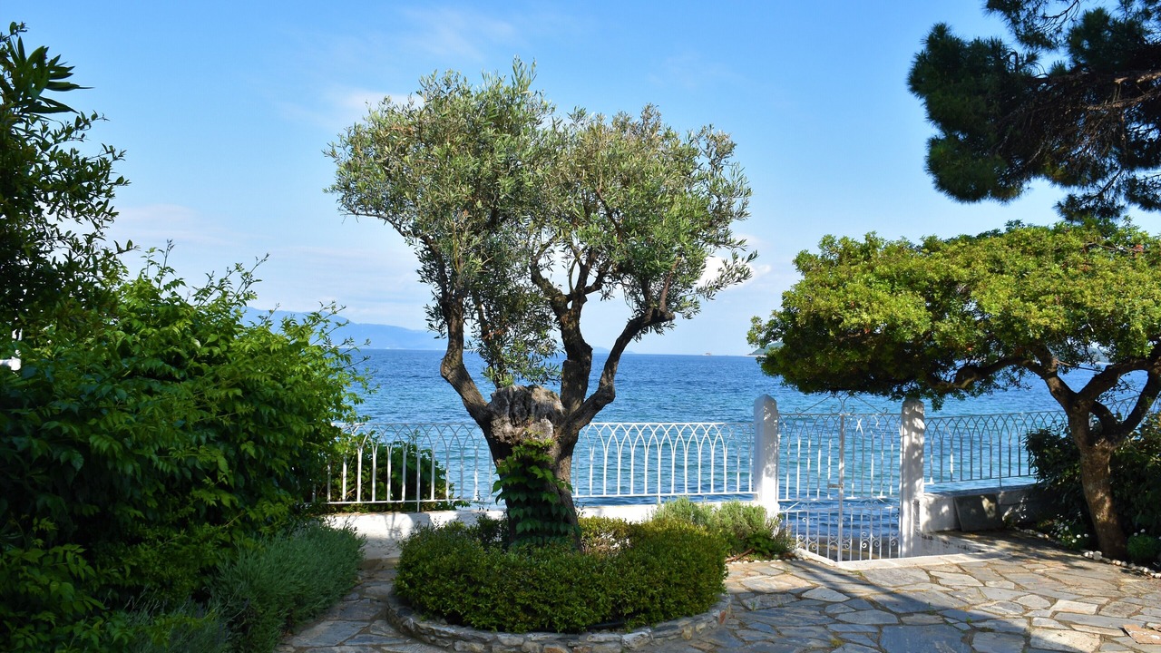 Photo of Outdoor in Achladies