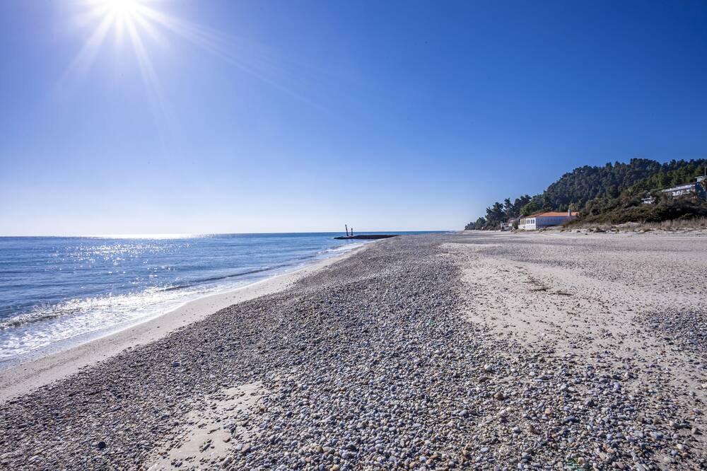 Photo of Others in Kassandra