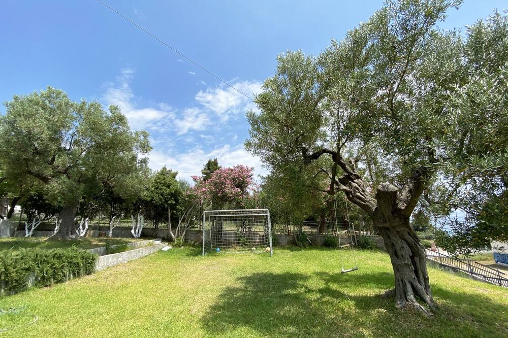 Photo of Outdoor in Kassandra
