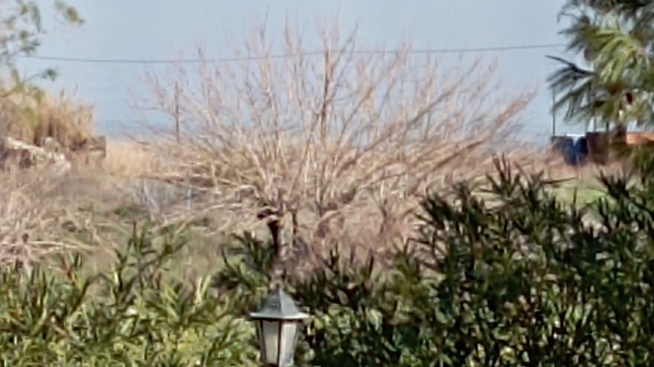 Photo of Outdoor in Mytilene