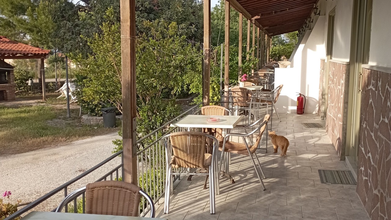 Photo of Patio Balcony in Mytilene