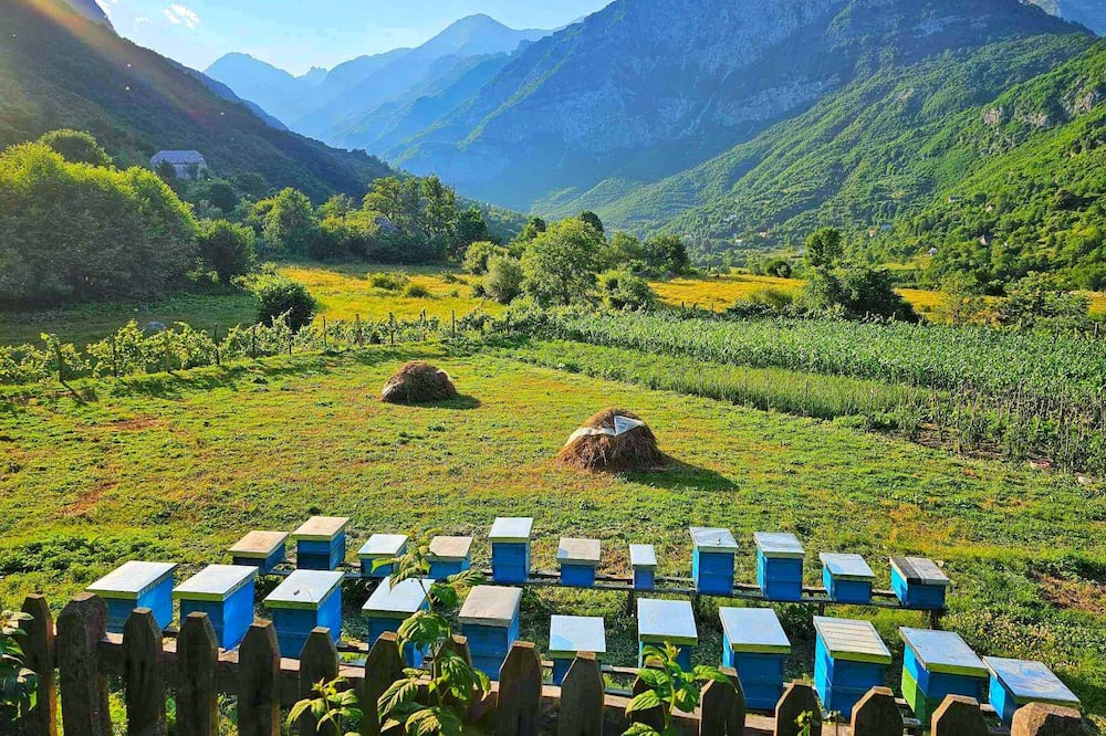 Photo of Outdoor in Curraj I Eperm