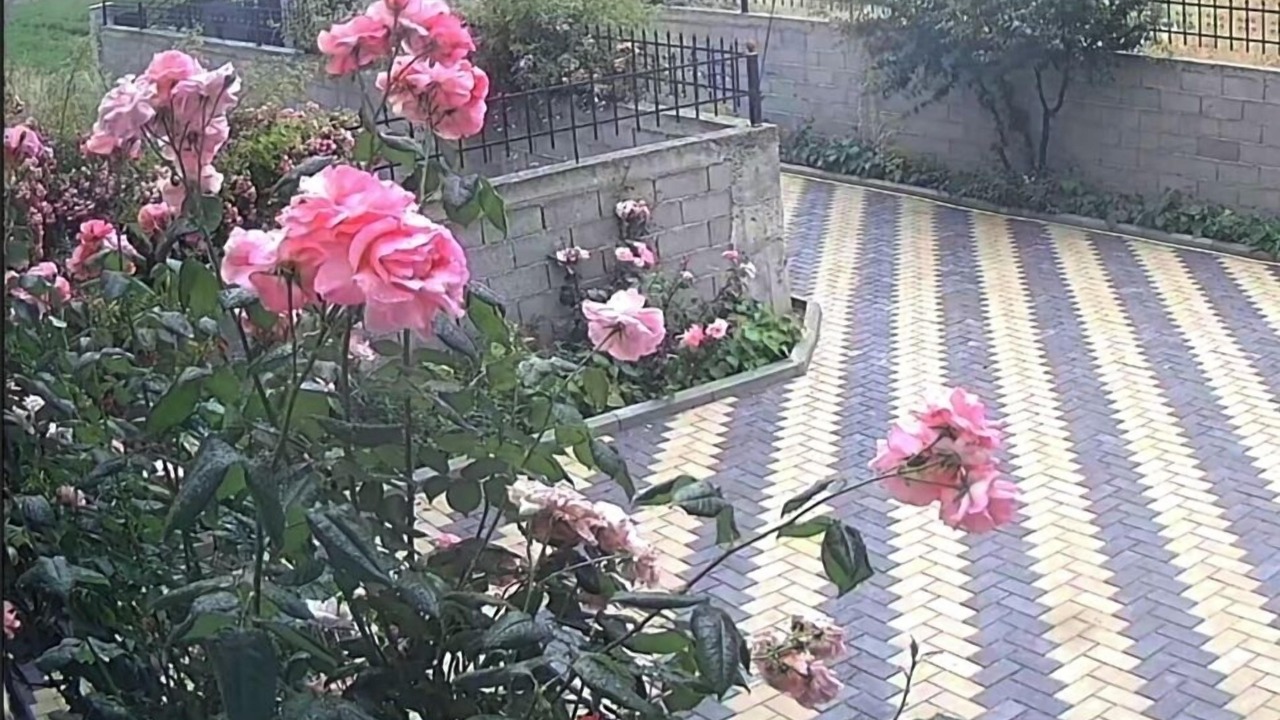 Photo of Outdoor in Korce