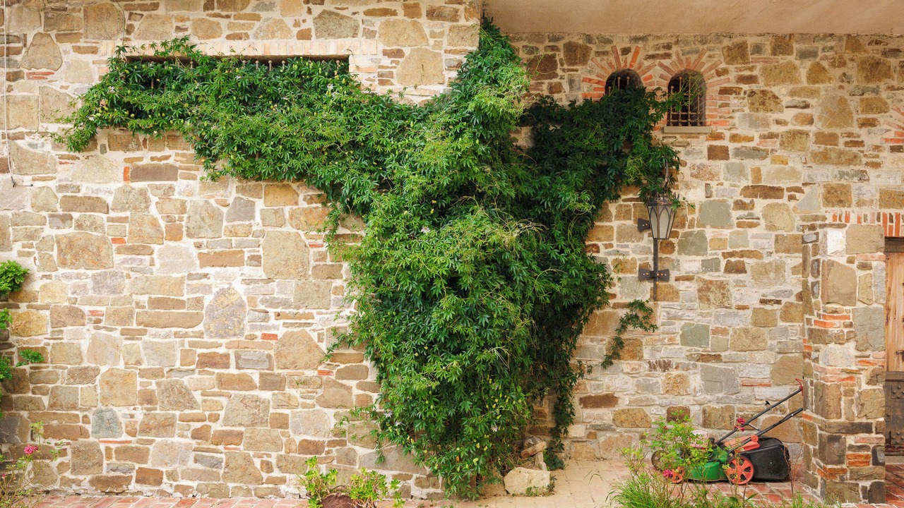 Photo of Outdoor in Kurbin