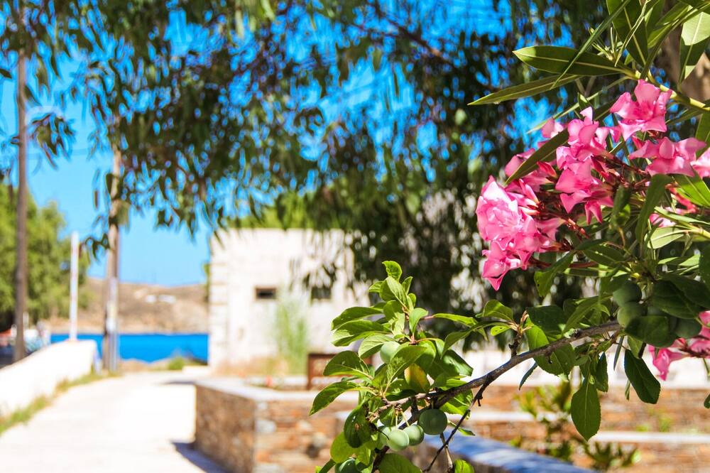 Photo of Outdoor in Livadi