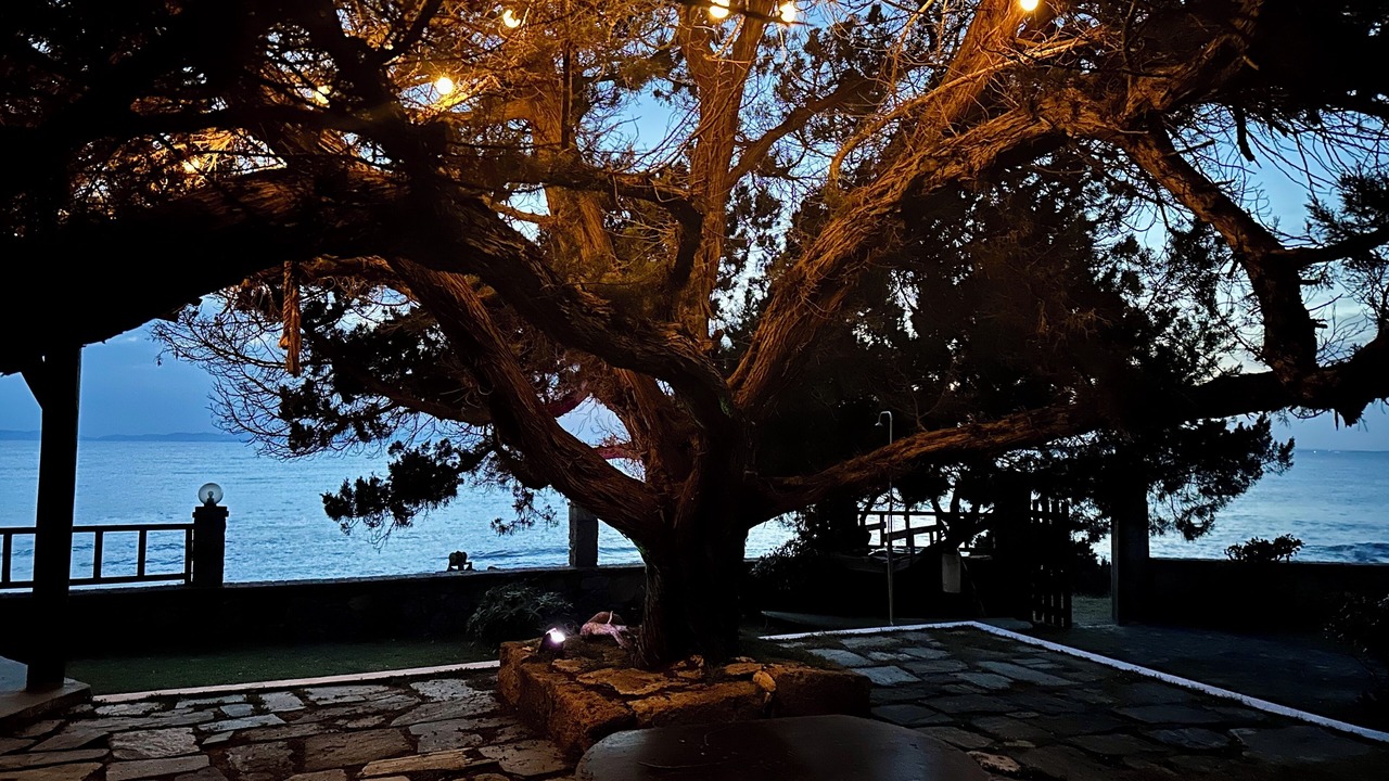 Photo of Outdoor in Pyrgos