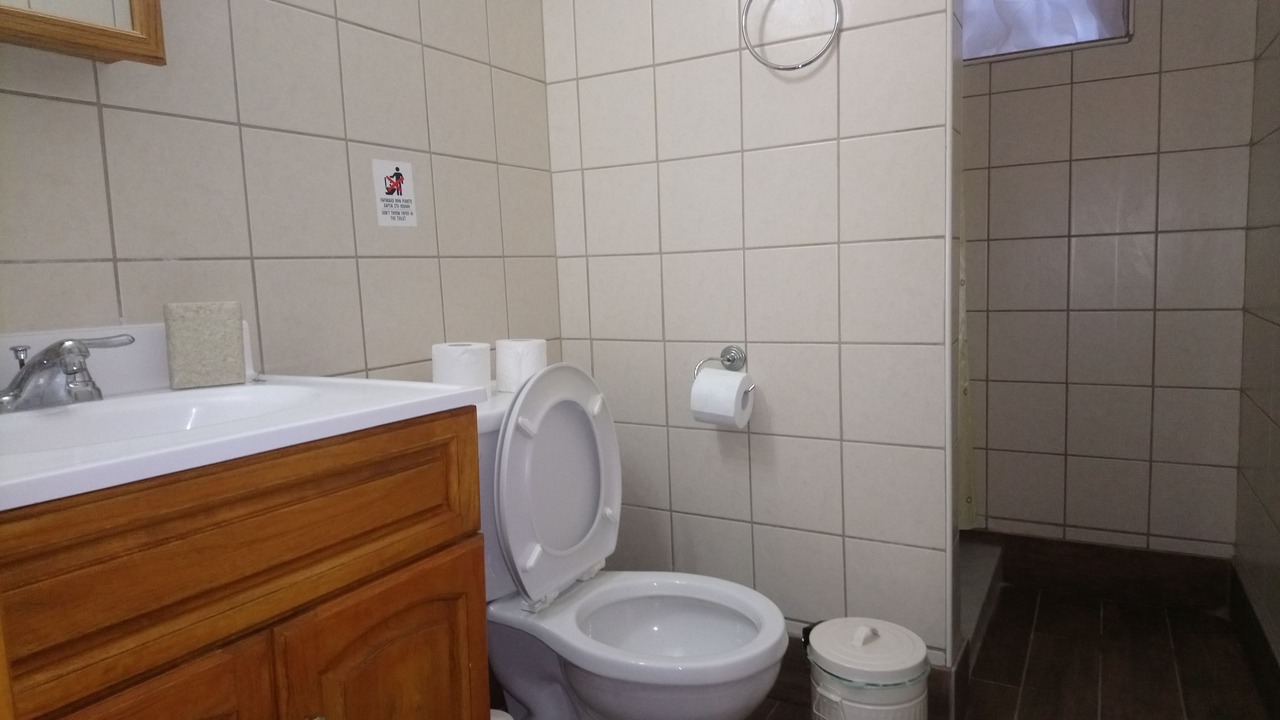 Photo of Bathroom in Paliki