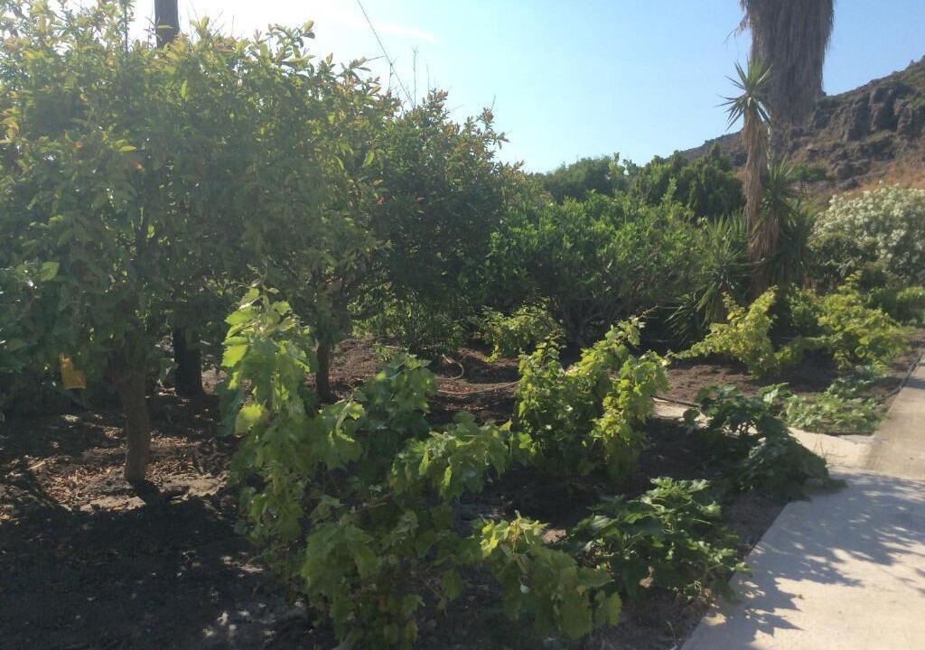 Photo of Outdoor in Skala