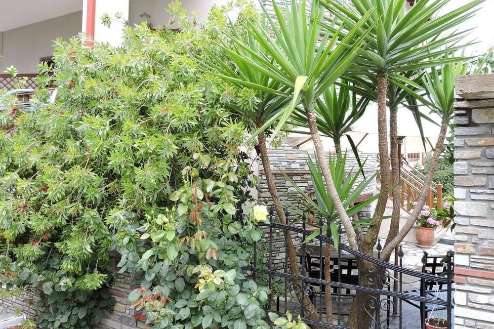 Photo of Outdoor in Aristotelis