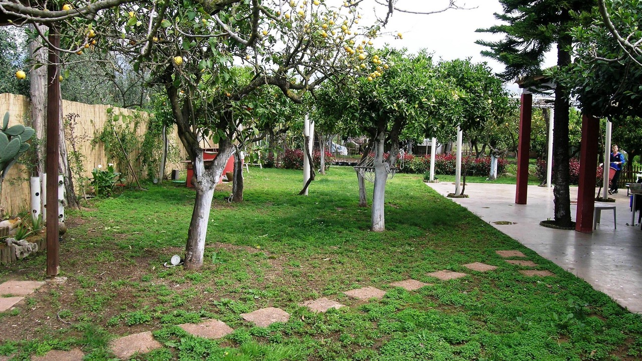 Photo of Outdoor in Kalamata