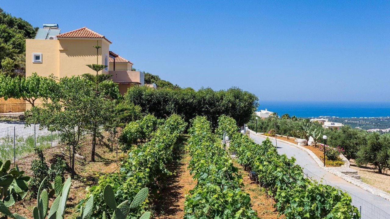Photo of Outdoor in Agia Triada