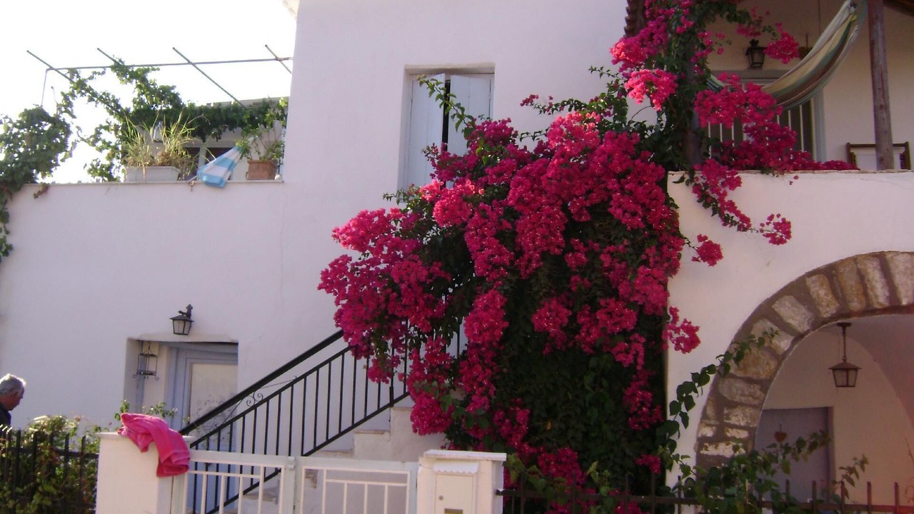 Photo of Outdoor in Evangelismos