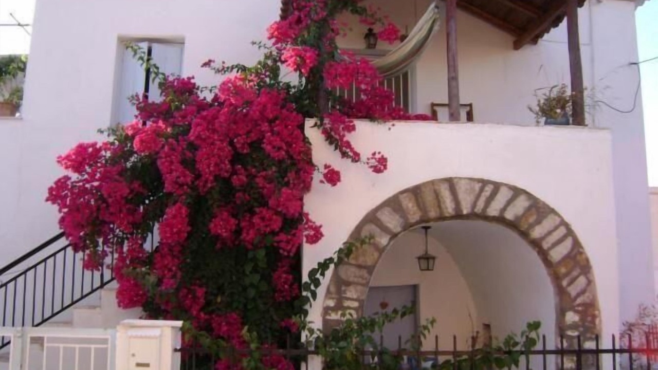 Photo of Outdoor in Evangelismos