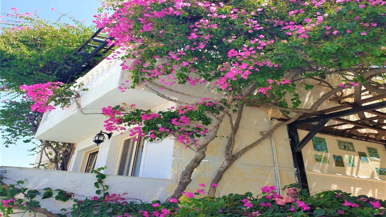 Photo of Patio Balcony in Piskopiano