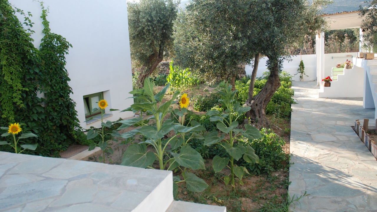 Photo of Outdoor in Platis Gialos