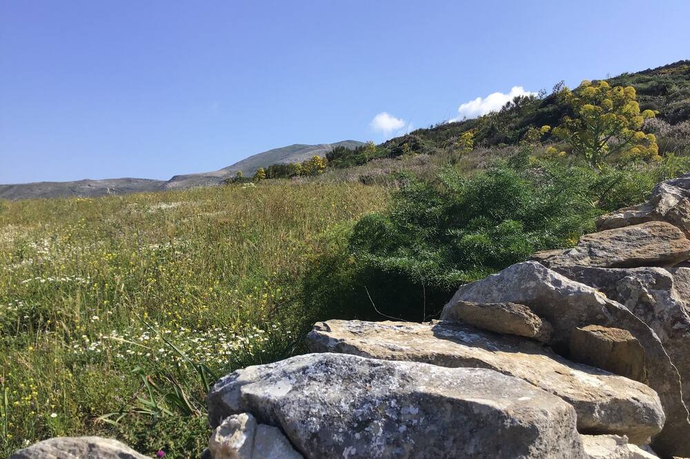Photo of Others in Paros