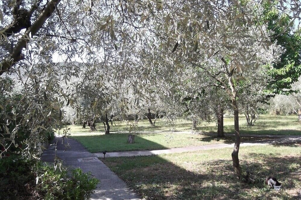 Photo of Outdoor in Sourpi