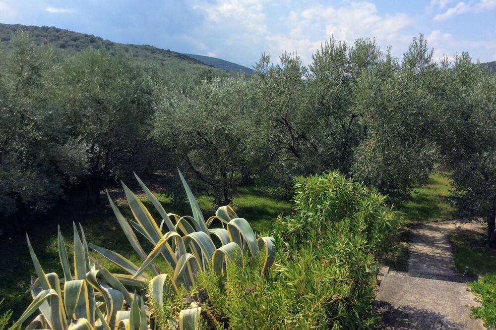 Photo of Outdoor in Sourpi