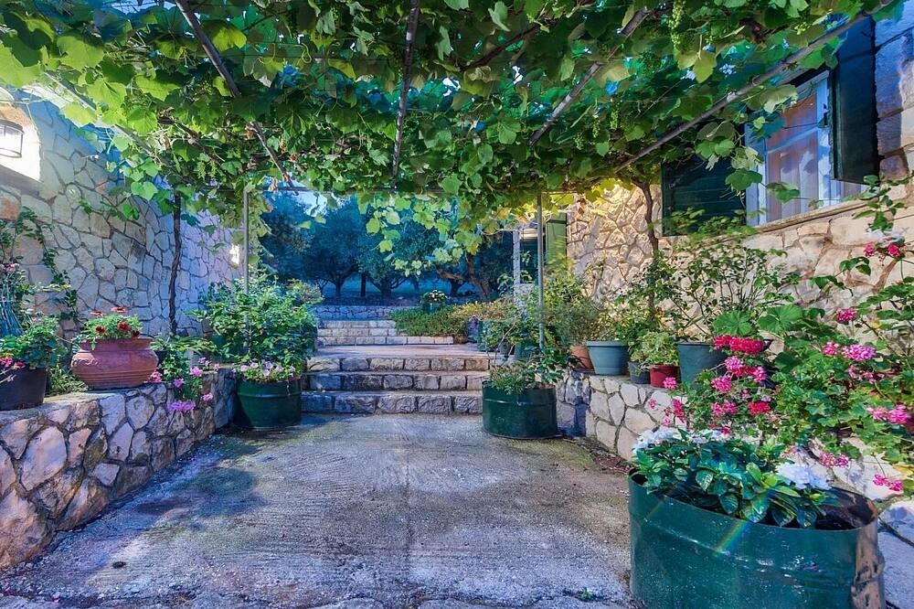 Photo of Outdoor in Marathias