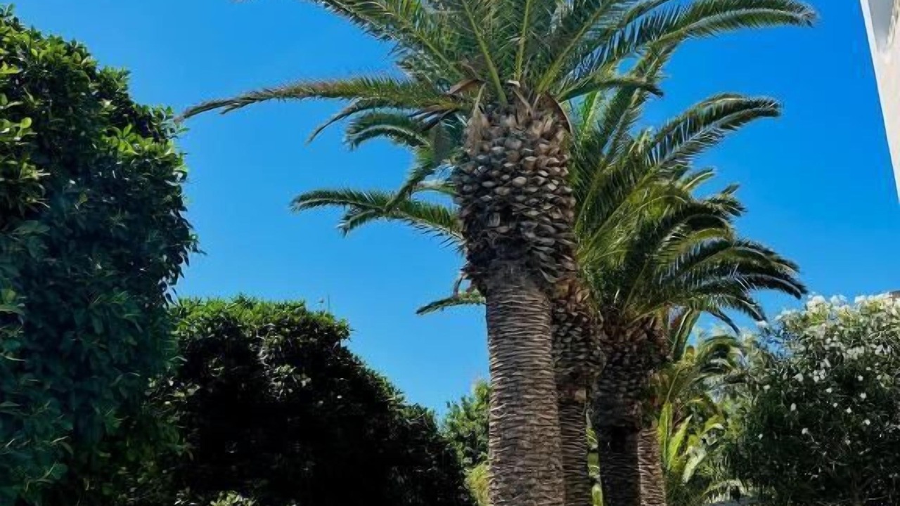 Photo of Outdoor in Karteros