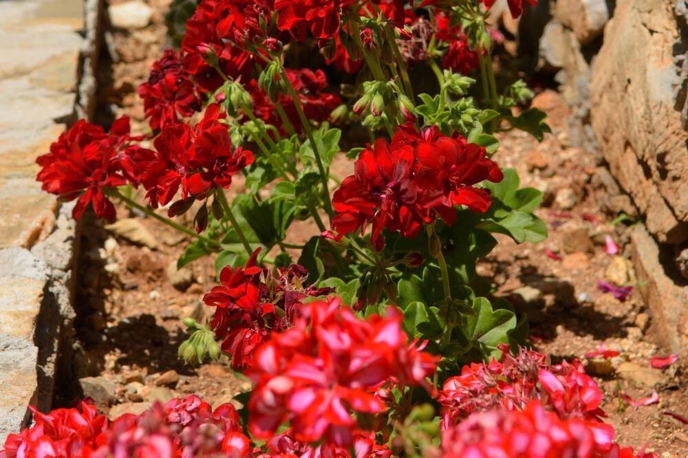 Photo of Outdoor in Agios Nikolaos Town