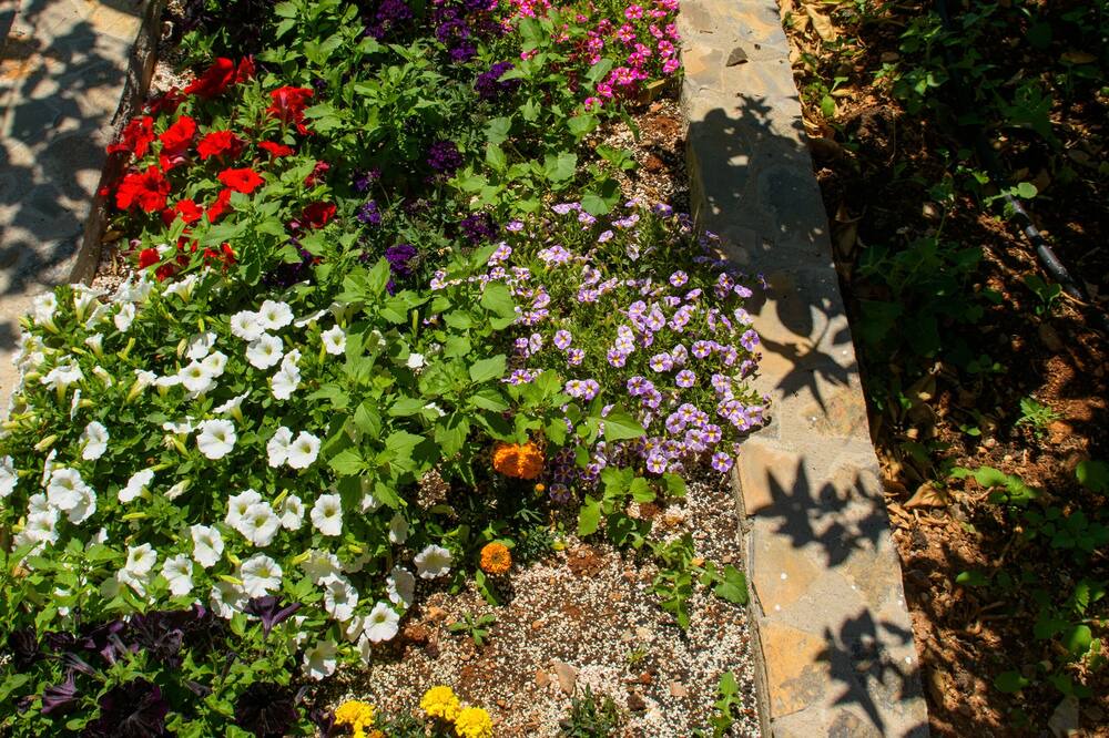 Photo of Outdoor in Agios Nikolaos Town