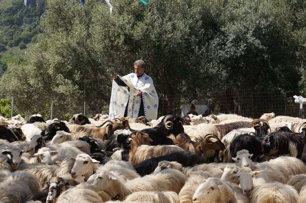 Photo of Others in Apokoronas