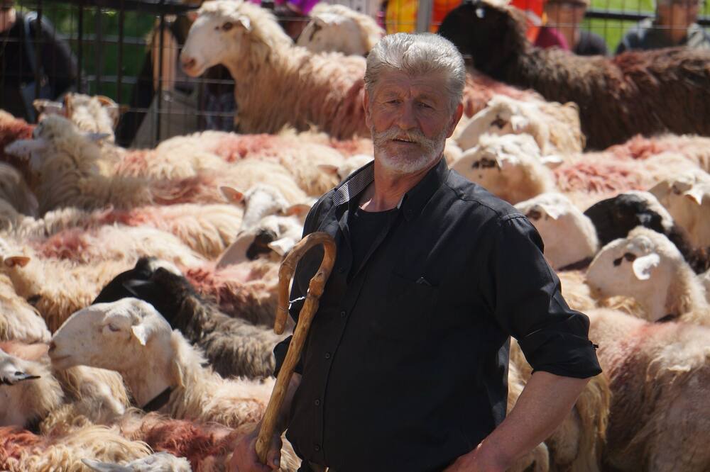 Photo of Others in Apokoronas