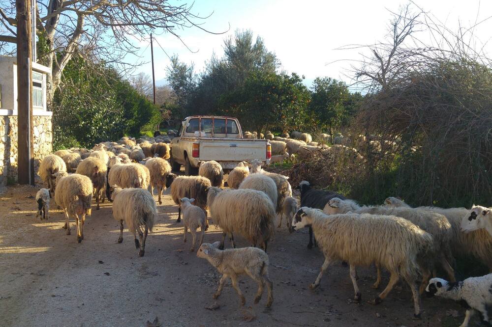 Photo of Outdoor in Apokoronas