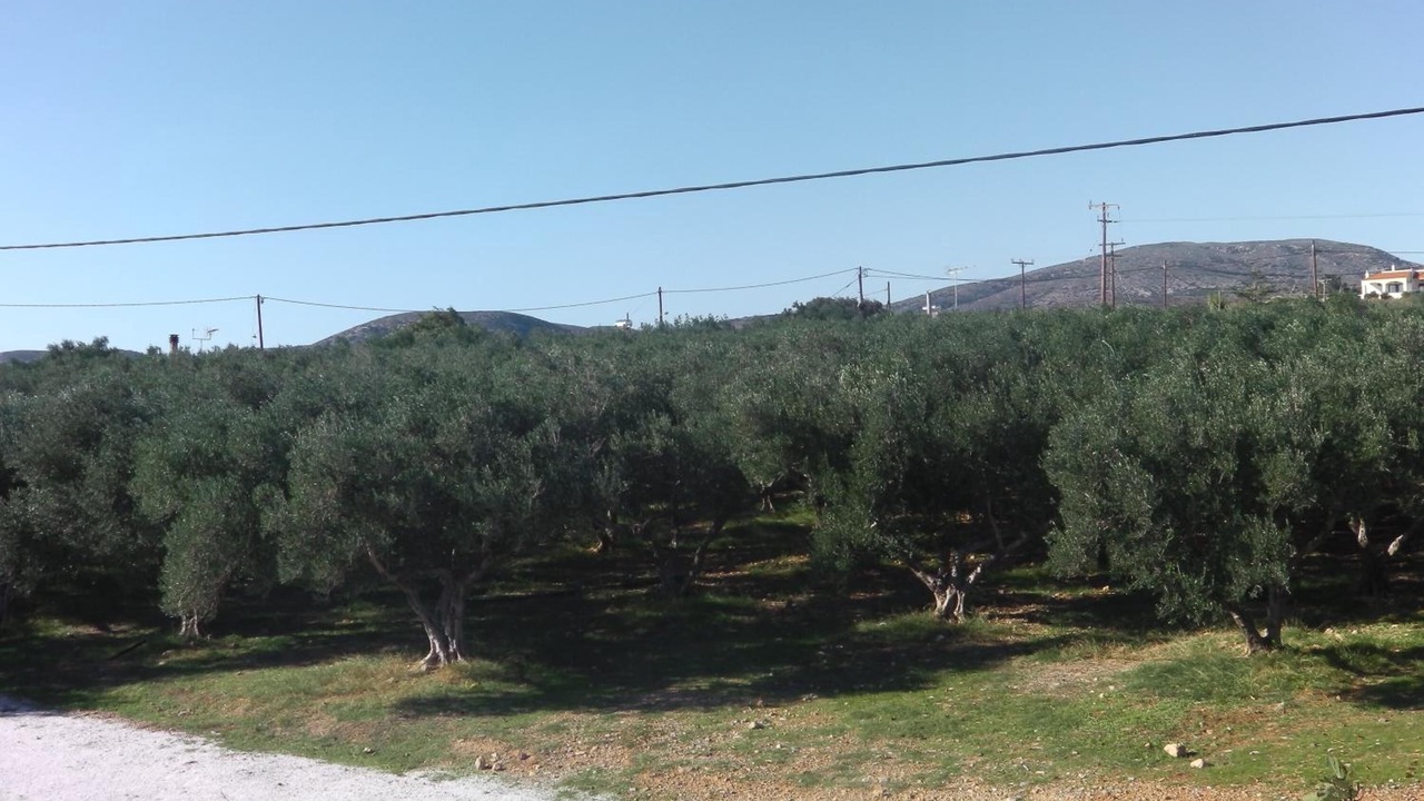 Photo of Outdoor in Gialos