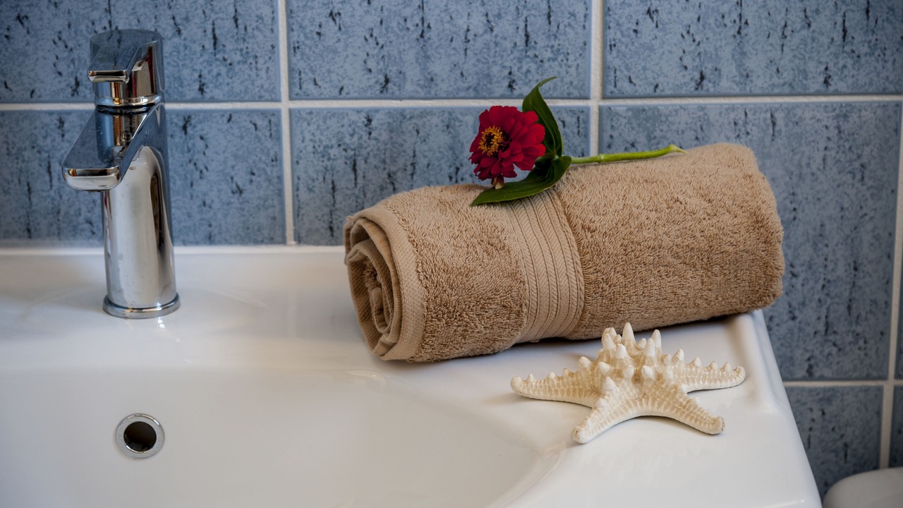 Photo of Bathroom in Korfalonas