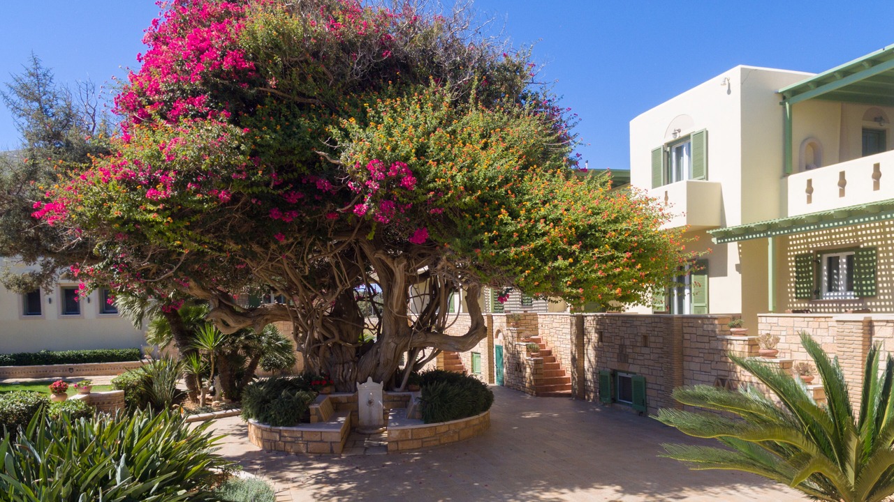 Photo of Outdoor in Naxos