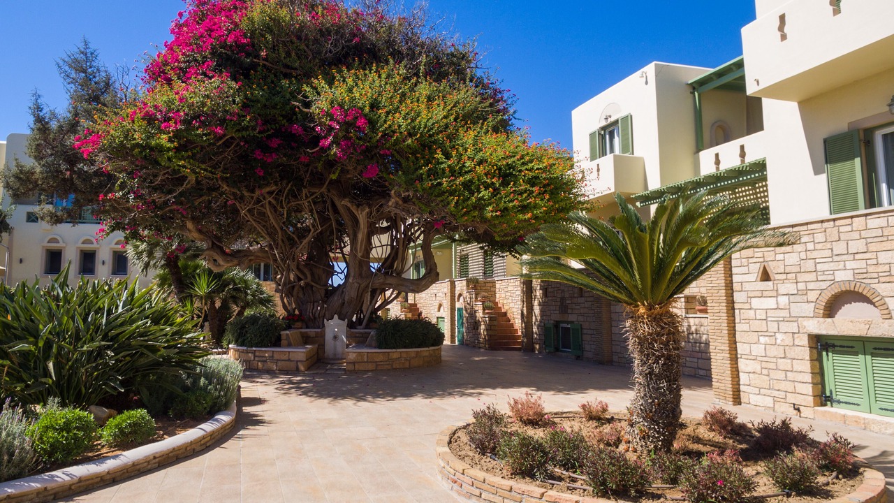 Photo of Outdoor in Naxos