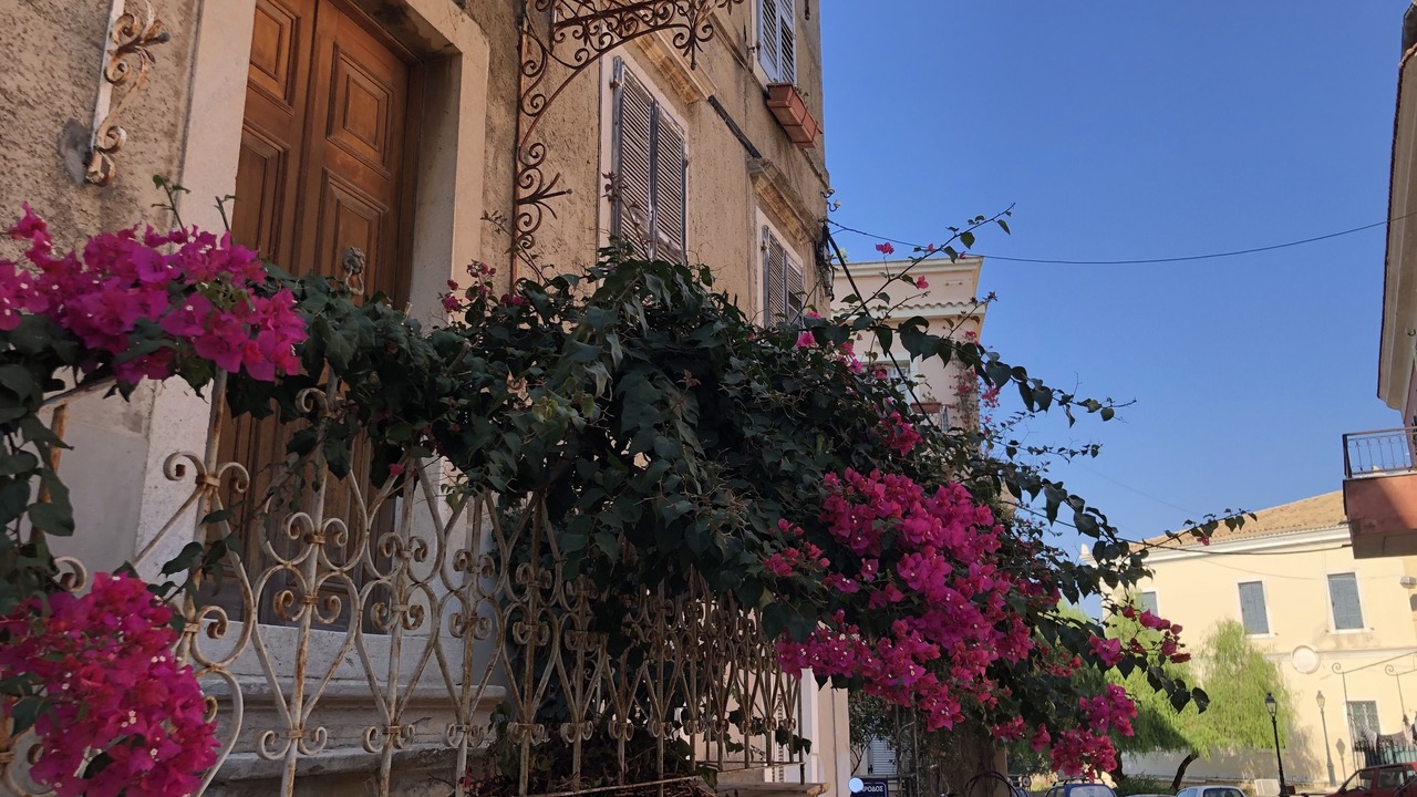 Photo of Others in Agios Gordios