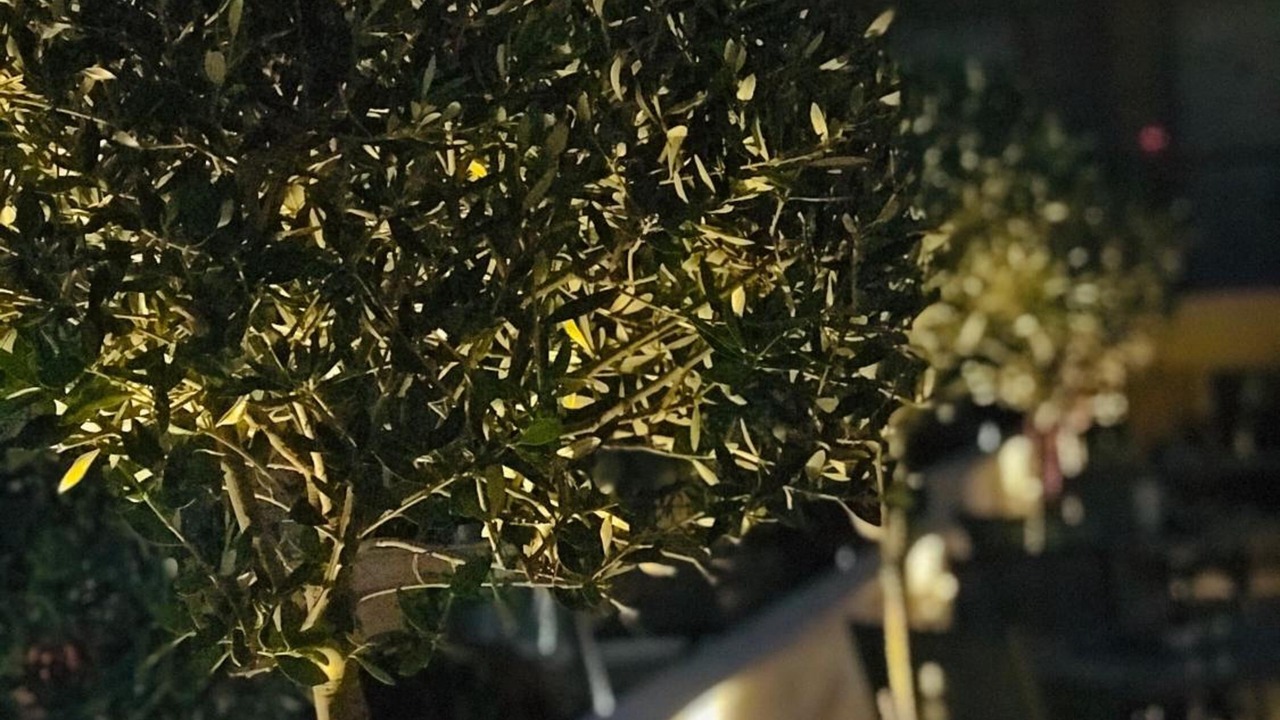 Photo of Outdoor in Volvi