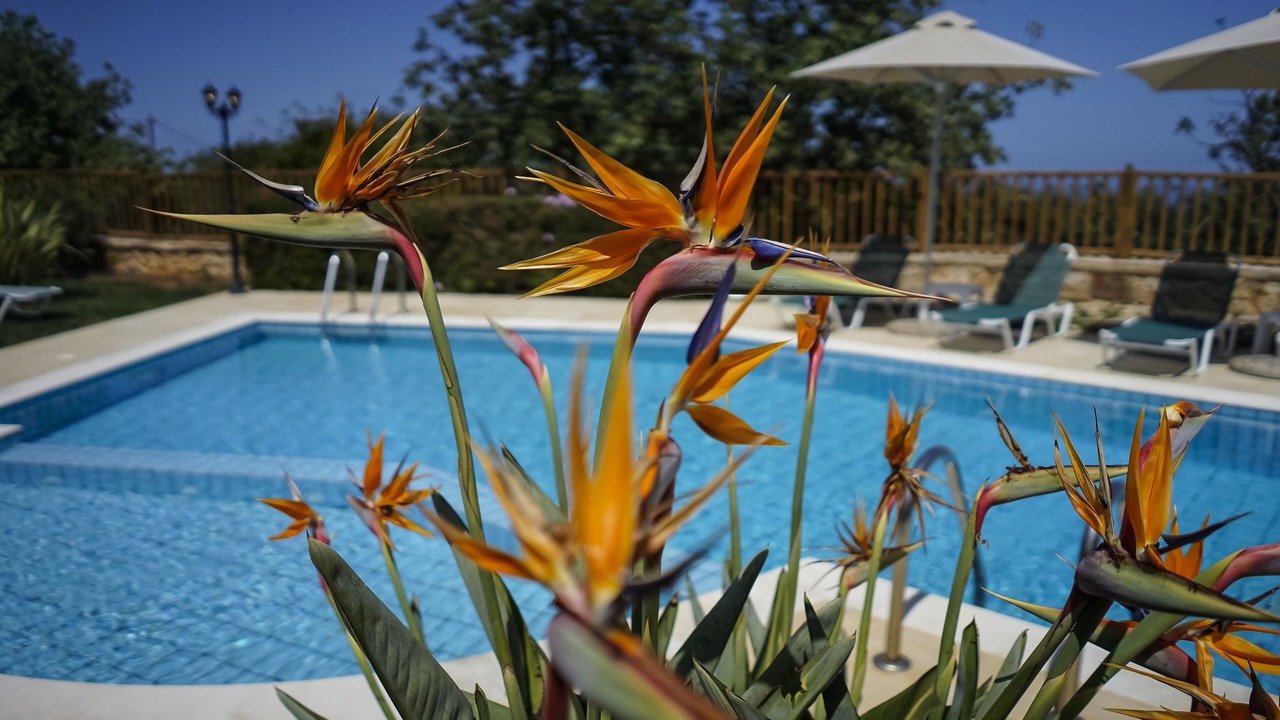 Photo of Outdoor in Gerani