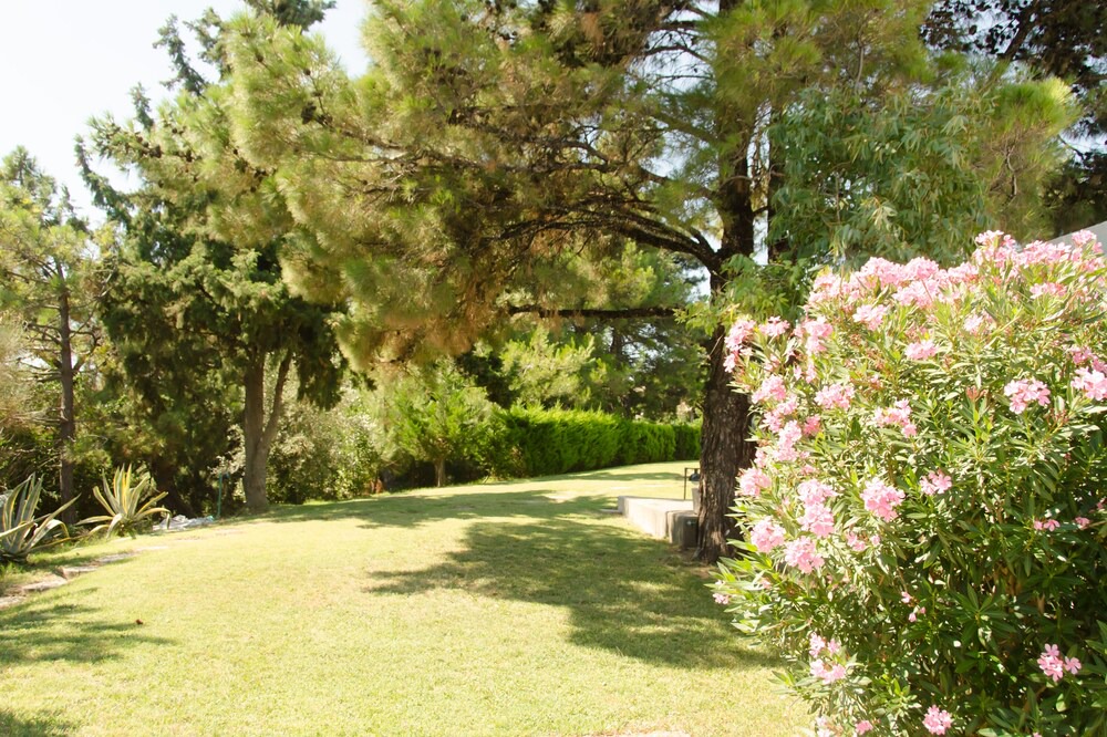 Photo of Outdoor in Thermaikos