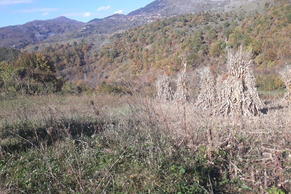 Photo of Outdoor in Tirana