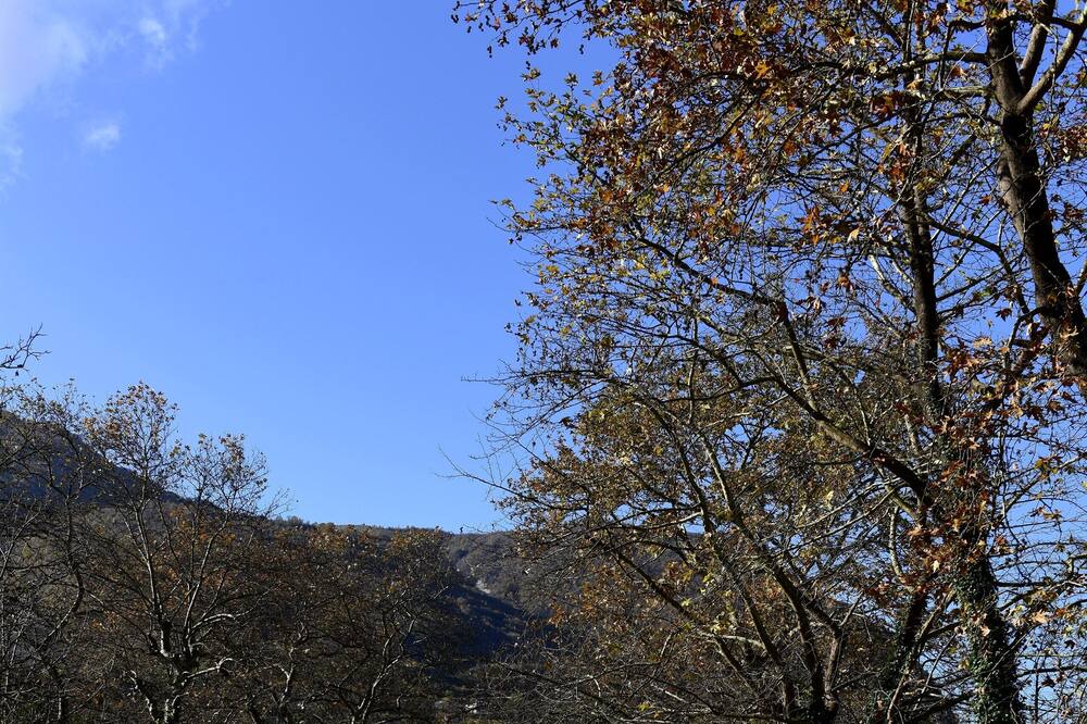 Photo of Outdoor in Tirana