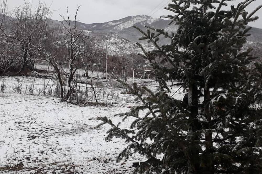 Photo of Outdoor in Tirana