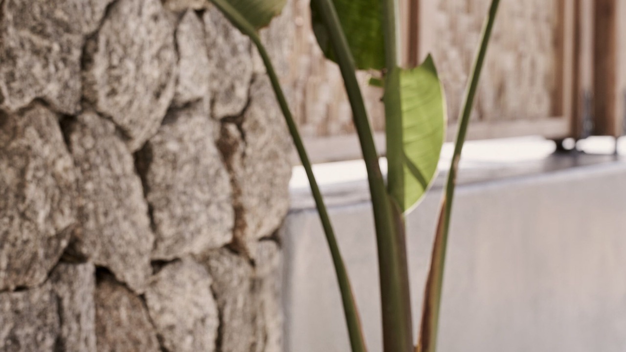 Photo of Patio Balcony in Elia