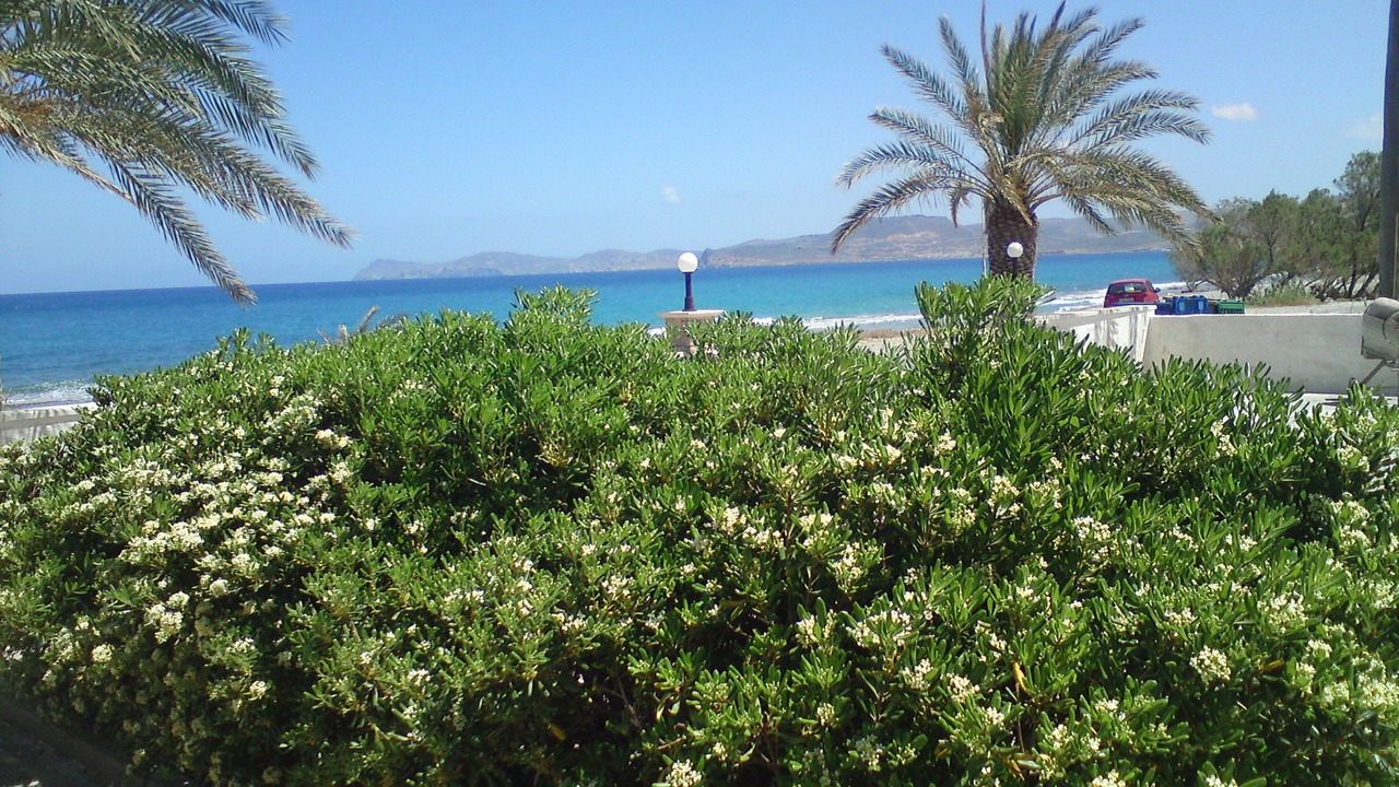 Photo of Bedroom in Sitia