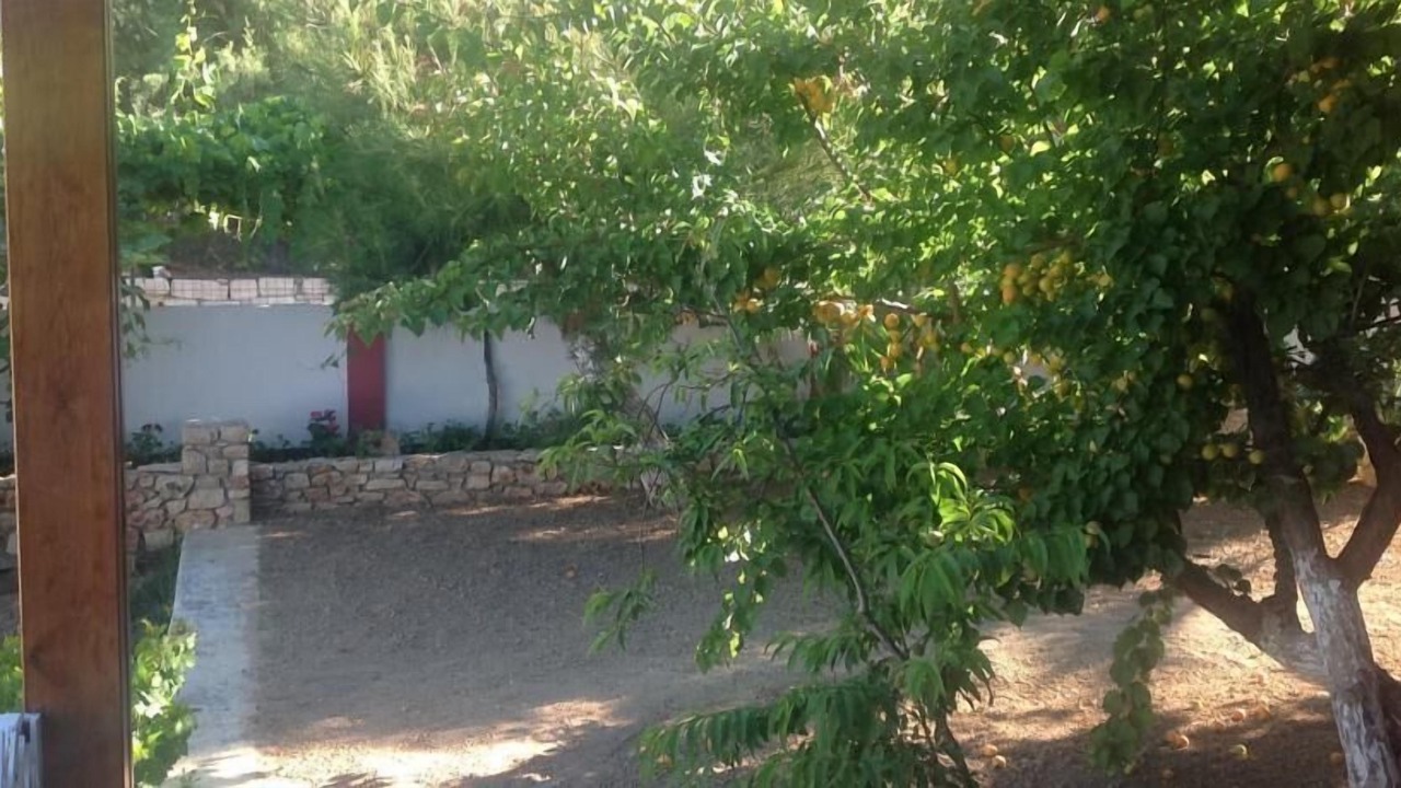 Photo of Outdoor in Sitia
