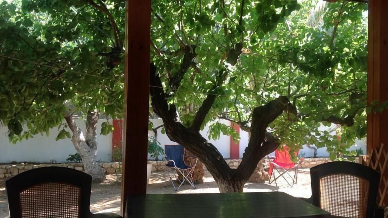 Photo of Outdoor in Sitia