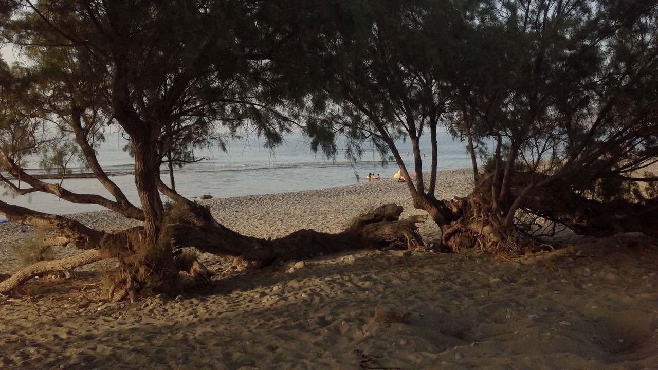 Photo of Others in Sitia