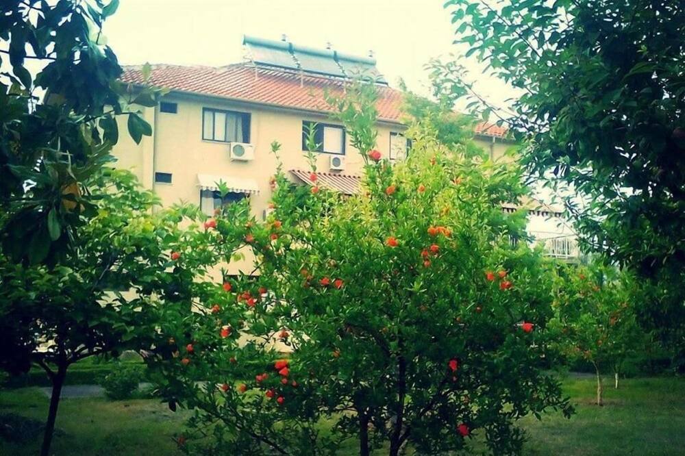 Photo of Outdoor in Farke