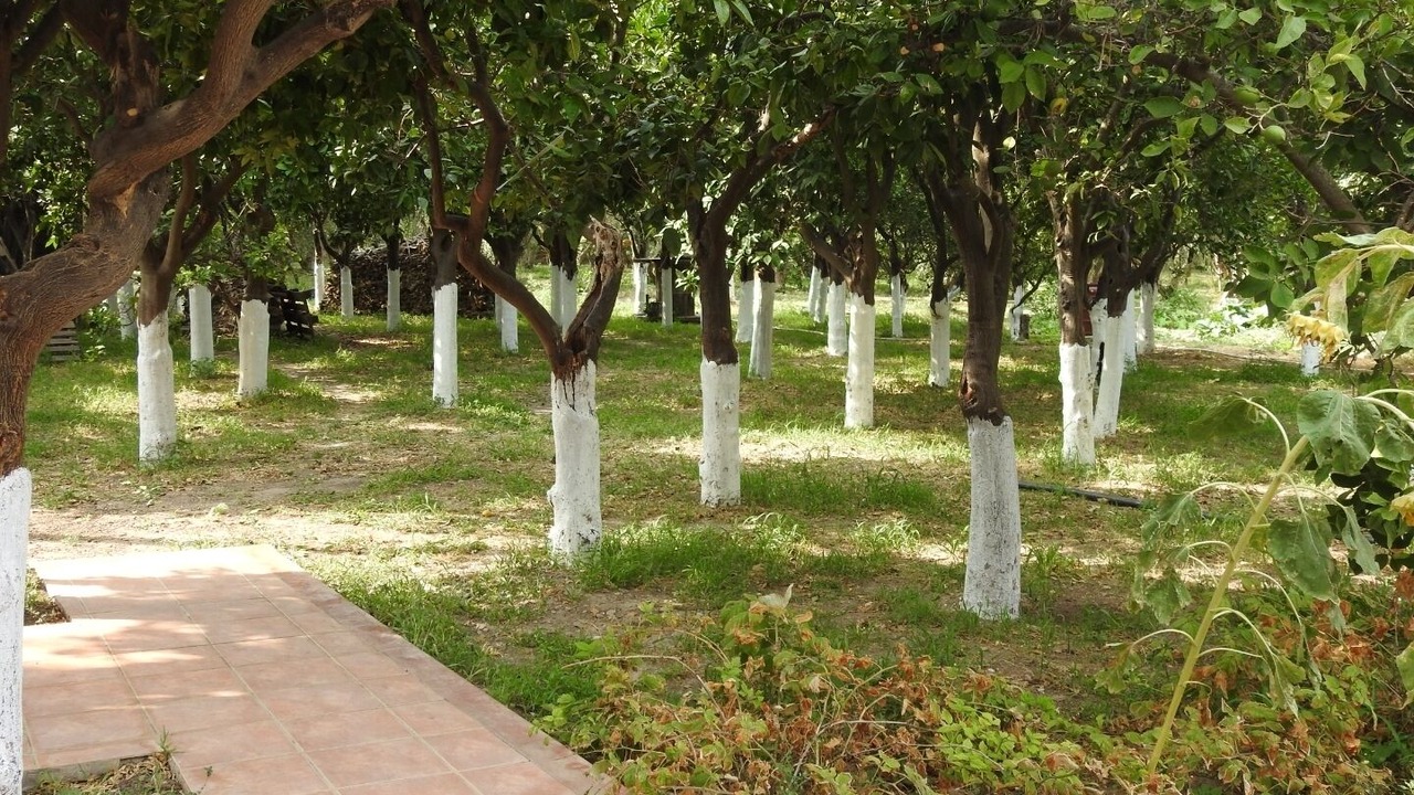 Photo of Outdoor in Agios Minas