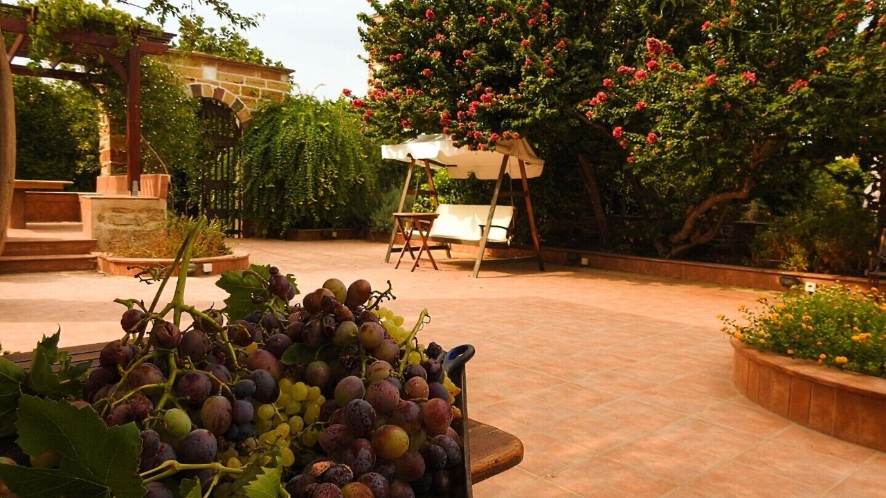 Photo of Outdoor in Agios Minas