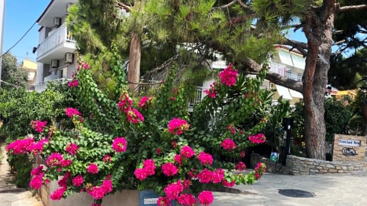 Photo of Outdoor in Limenaria